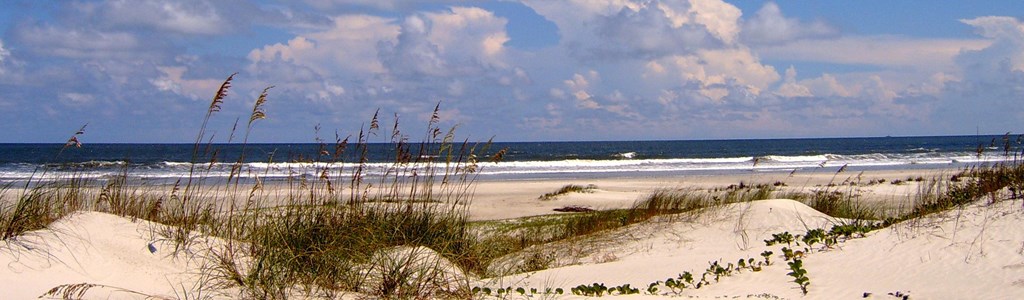 Shoreline view of Cumberland Island